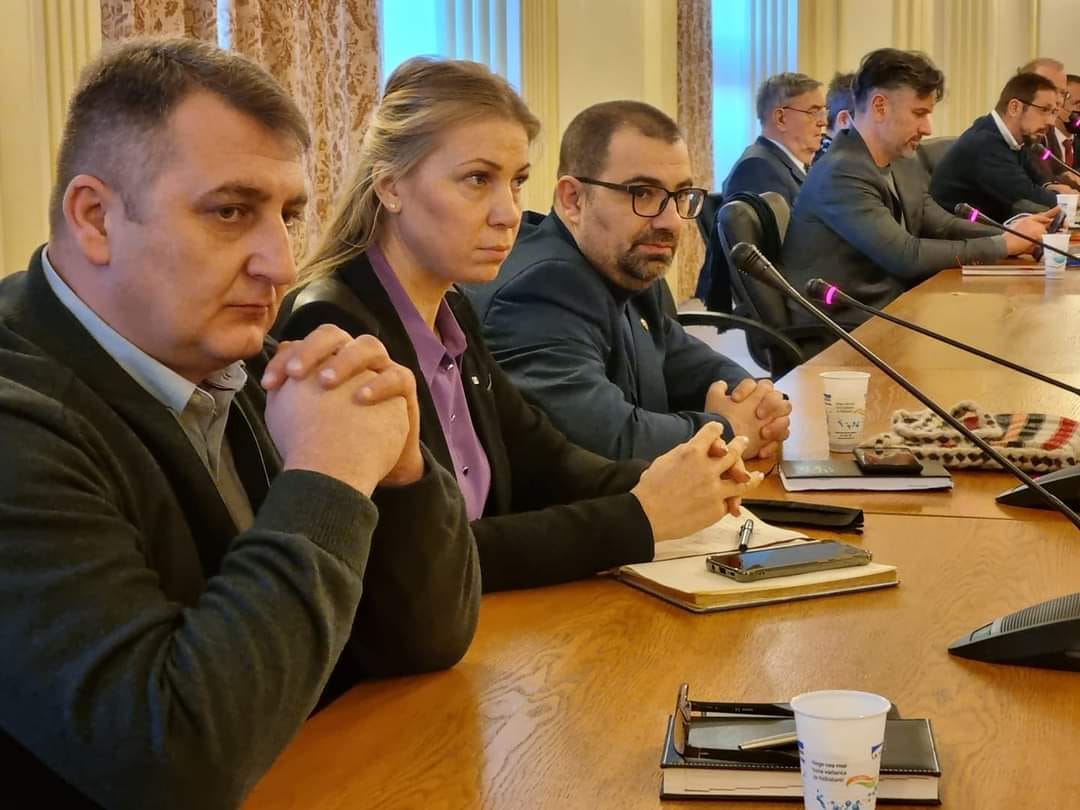 PARTIDUL – STAT PNL PSD VREA SĂ PLĂTEASCĂ O POLIȚĂ PENTRU DEMASCAREA TENTATIVEI DE MITUIRE A DEPUTATULUI CIPRIAN TITI STOICA